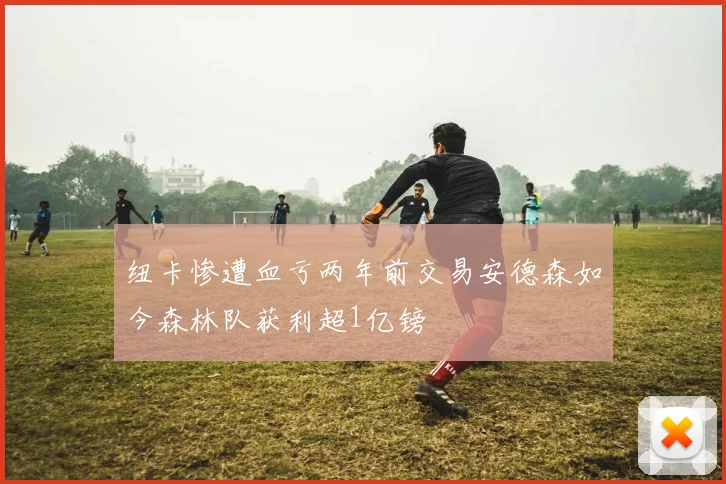 纽卡惨遭血亏两年前交易安德森如今森林队获利超1亿镑